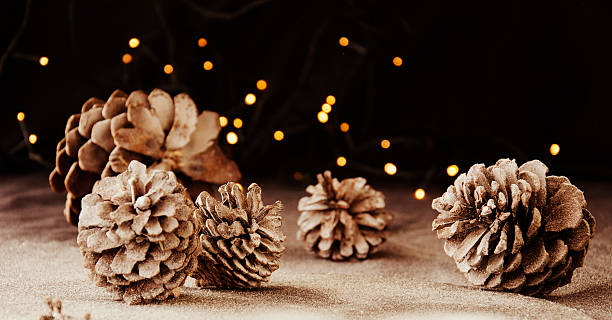 istock Christmas decoration with fir branches 607271922