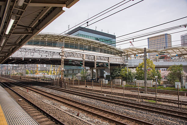 istock Tokyo's urban landscape 607273570