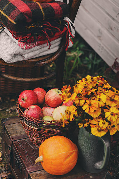 istock fall at country house. Seasonal rustic decorations 607277702