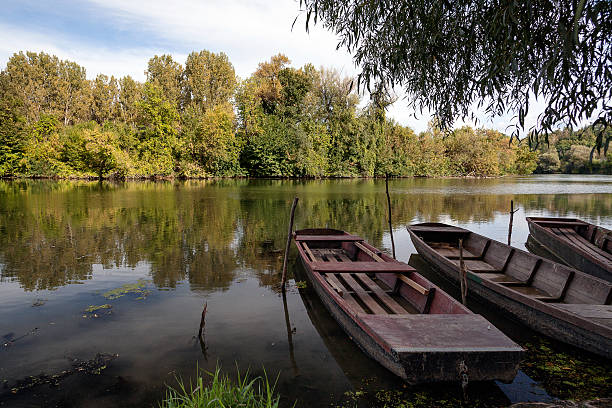 istock Boat in a river in autumn 607283530
