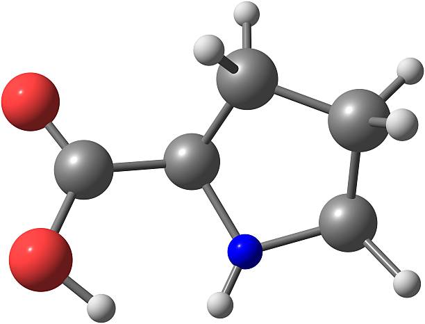 Proline Simple 100+ Proline Structure Stock Photos, Pictures & Royalty-Free Images ...