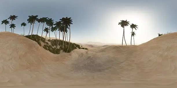 Photo of panorama of palms in desert. made with the 360 lense