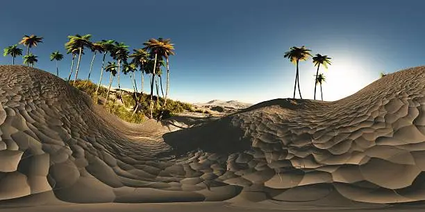 Photo of panorama of palms in desert. made with the 360 lense