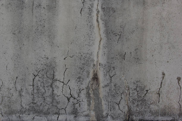 istock texture, concrete, dirty, leaking, mossy, moss, unclean, mucky, filfthy, wall 607288102