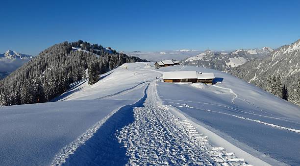 winter hiking and sledging path on mt hohe wispile - bernese oberland gstaad winter snow imagens e fotografias de stock