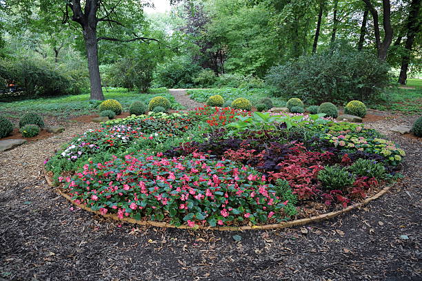 Bright flower bed of plants in summer city park