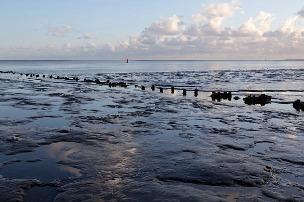 istock muddy shore of dutch waddenzee at low tide on Vlieland 607289596