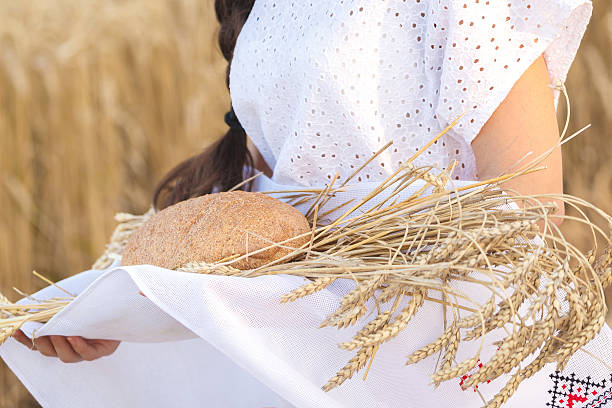 istock girl in wheat field 607291864