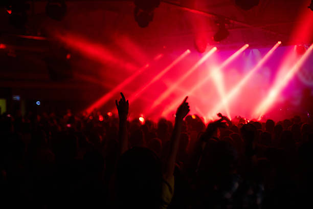 istock Cheering Fans at Rock Concert 607292746