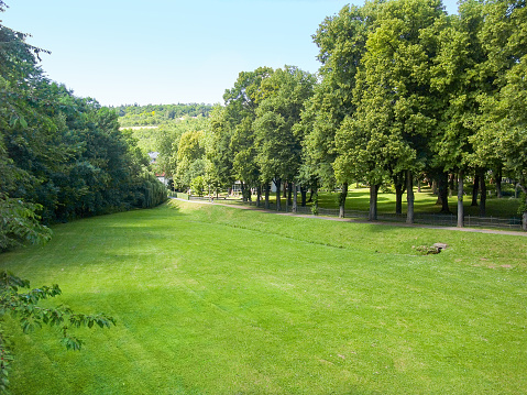 idyllic park scenery with lawn and trees in Bad Mergentheim, a town in Southern Germany