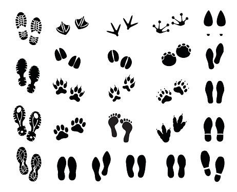 Footprint set  - vector illustration isolated on white background