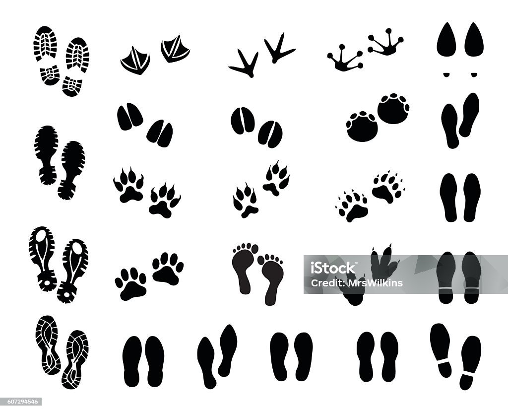 Footprint set vector illustration Footprint set  - vector illustration isolated on white background Footprint stock vector