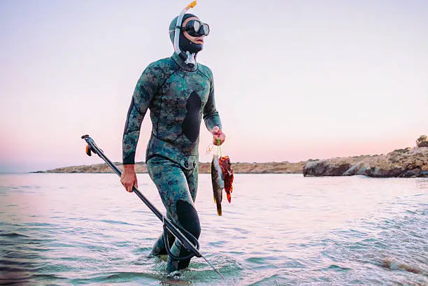 photo of a freediver fully equipped coming back from spear fishing,getting out of the sea holding in one hand the spear gun and in the other the cathed fish