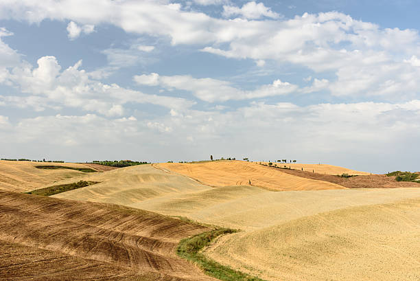 istock Tuscan landscape during summer with hills and trees 607295826