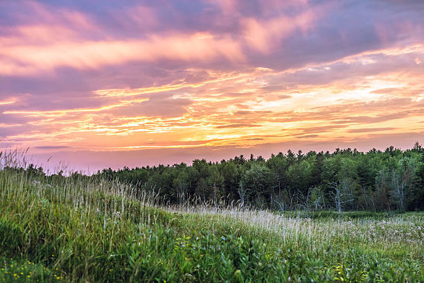 はい、地球上にはこのような場所があります! - maine landscape new england forest ストックフォトと画像