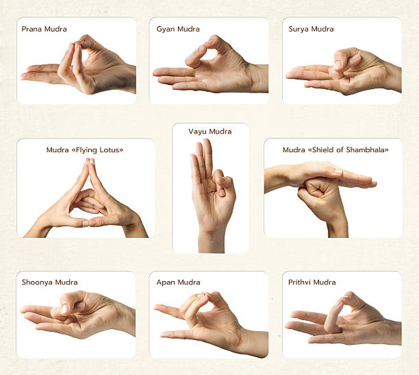 Set of 9 mudras set of 9 mudras. It includes such mudras: Prana mudra, Gyan mudra, Apan mudra, Prithvi mudra, Surya mudra, Shoonya mudra, Vayu mudra, Mudra "Shield of Shambhala" and Mudra "Flying lotus". Gestures is isolated on white background. mudra stock pictures, royalty-free photos & images
