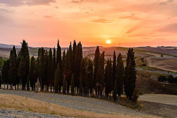 istock Scenic HDR sunset in Val d'Orcia with cypress trees 607298032