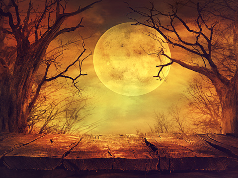 Spooky bosque con luna llena y mesa de madera photo