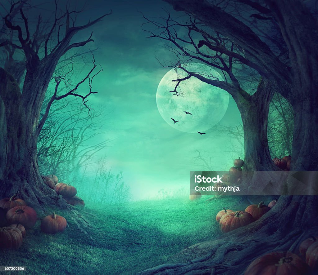 Conception de Halloween - Photo de Halloween libre de droits