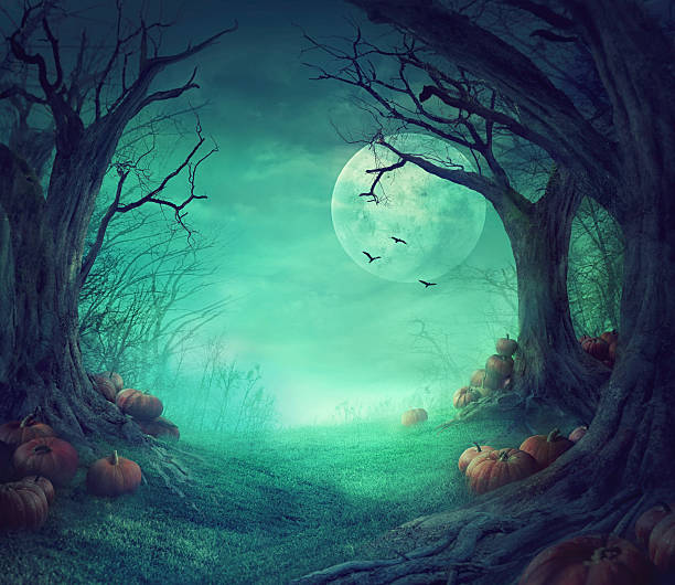 dia das bruxas de desenho - cemetery halloween moon spooky imagens e fotografias de stock