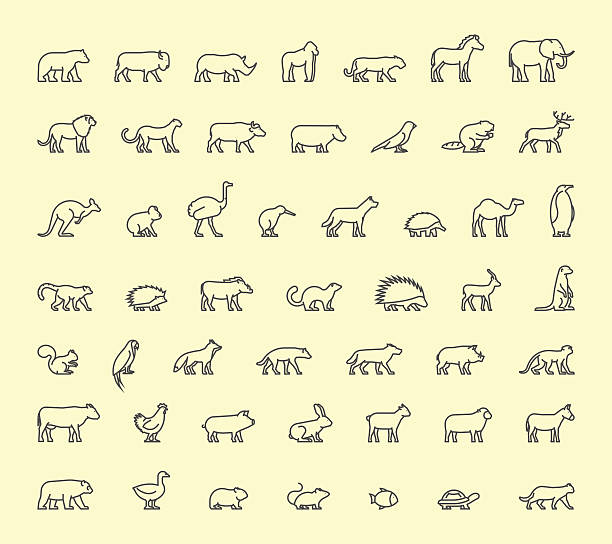 Vector line icon wild animals Vector line icon domestic, farm and wild animals. panda ferret stock illustrations