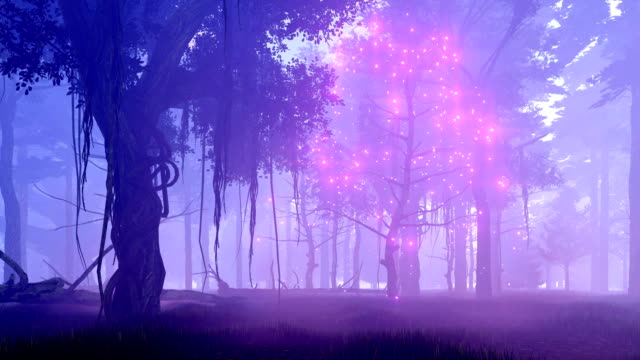 Fantasy tree with magical lights in misty night forest