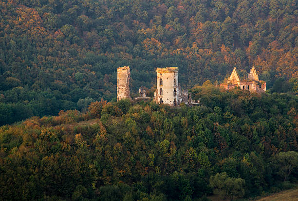 istock Ruins of Chervonohorod Castle 607459226