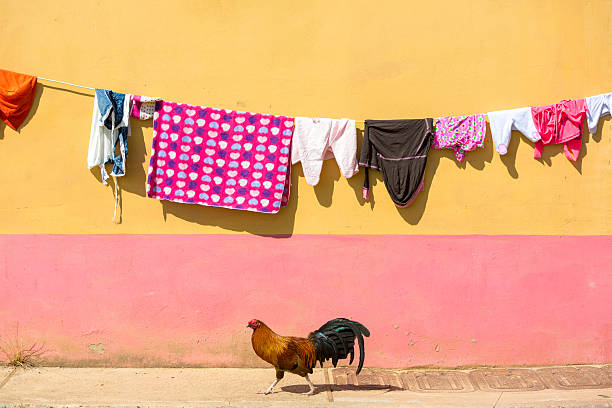 Clothes drying on string with chicken walking with colored wall in the background. Guatape, Colombia