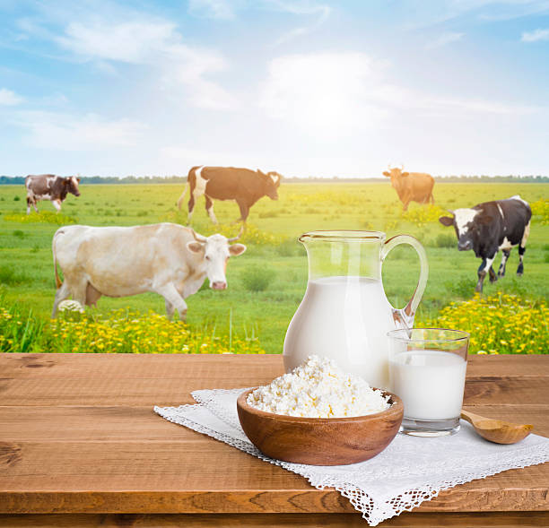 istock Milk jug and curd cheese bowl over sunny cows meadow 607461142