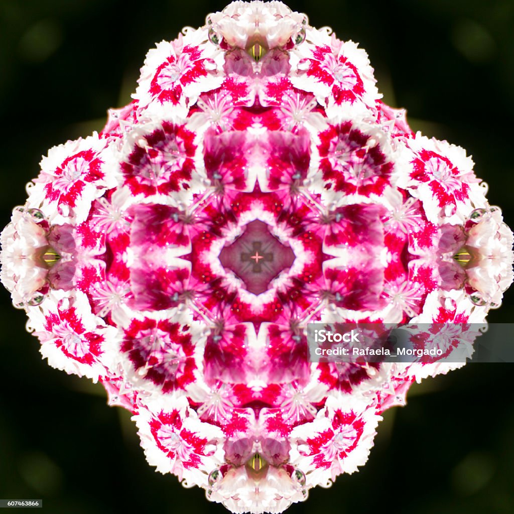 kaleidoscope flower kaleidoscope Abstract Stock Photo