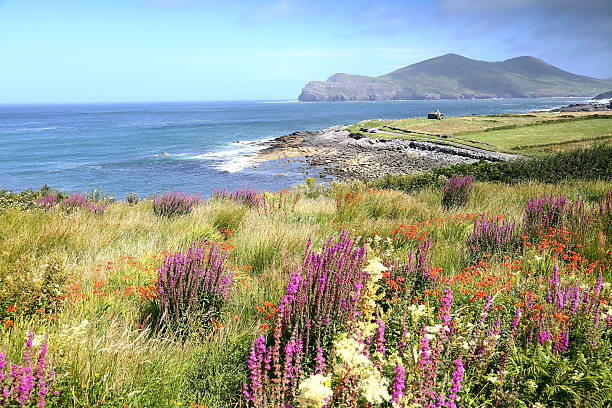 istock Valentia Island, Ireland 607464212