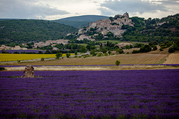 istock the old town above the lavender field 607464832