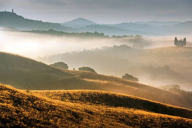 Scenic near Pienza at Tuscany,morning,fog,cobwebs, cypress, lens flare, Southern Italy.Nikon D3x