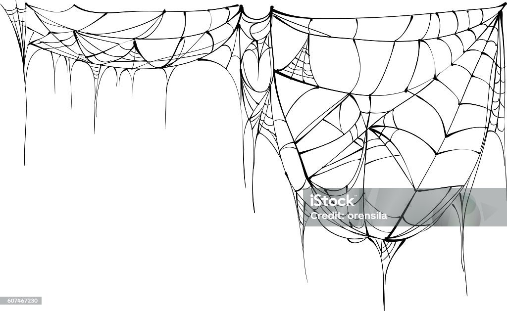 Spider web isolated on white background Spider web isolated on white background. Illustration in vector format Spider Web stock vector