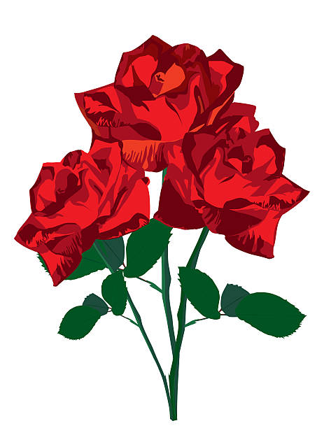 Valentines Day Sweet Red Roses. Vector Illustration stock photo