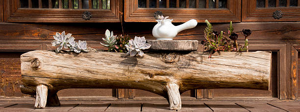 white tea pot on the bench with flower pot