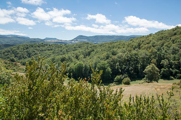 istock Camino de Santiago from Roncesvalles to Zubiri 607473254