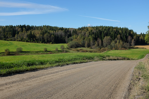 Field landscape, forest and dirt road, Sipoo, Finland.