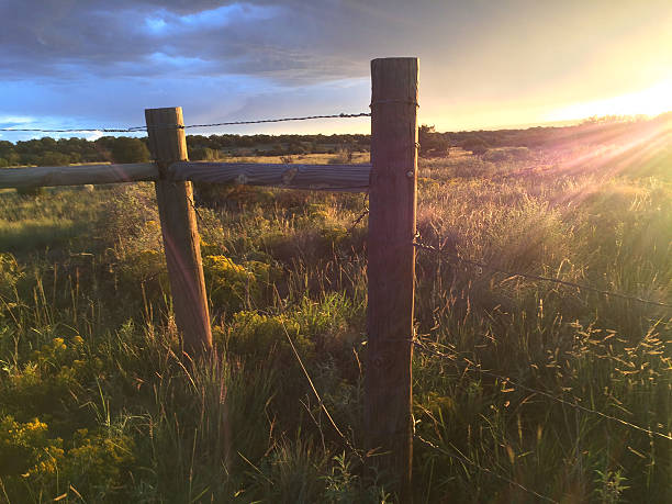 istock nature landscape inspiration sunshine 607477238