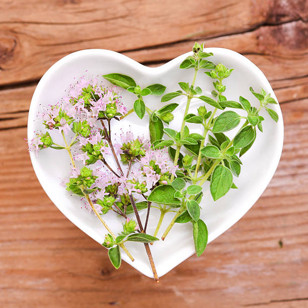 istock Homeopathy and cooking with majoram 607478484