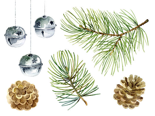 New Year set of pine branches, balls and cones