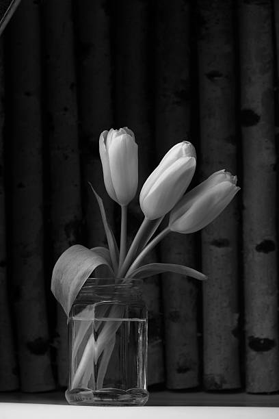istock Yellow tulips on wood background. 607479698