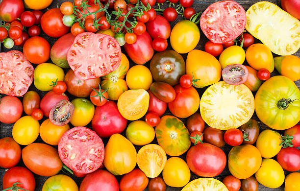 frische bio-tomaten. bunte tomaten hintergrund. - beefsteak tomato stock-fotos und bilder