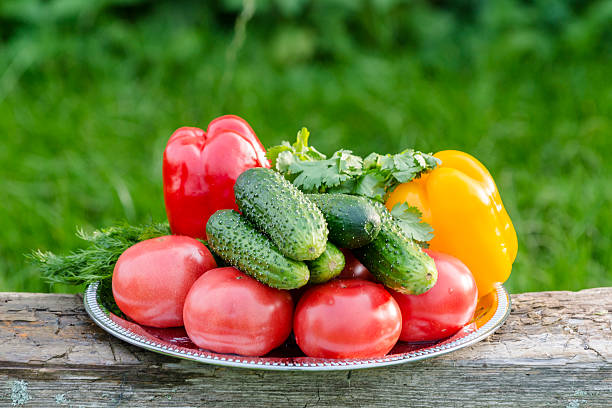 istock Composition with the raw vegetables on the plate 607484066