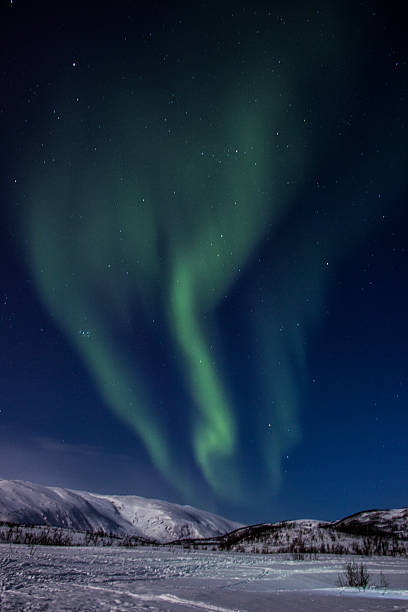 istock Northern lights in snow landscape, Norway 607484192