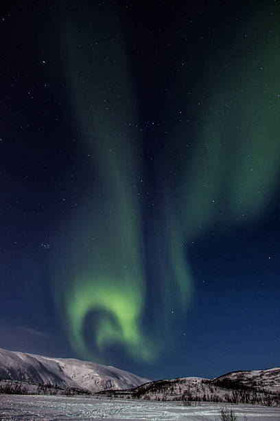 istock Northern lights in snow landscape, Norway 607484206