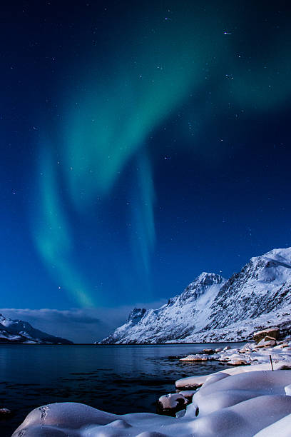 istock Northern lights at Ersfjordbotn, Norway 607486920