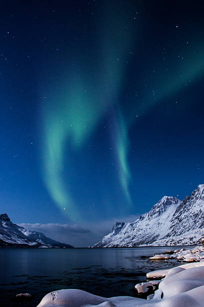 istock Northern lights at Ersfjordbotn, Norway 607486930