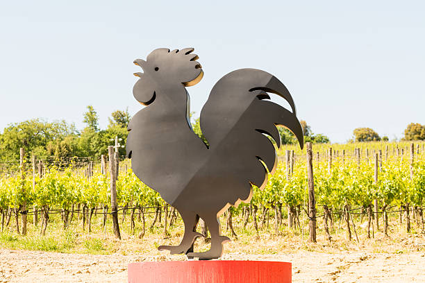 Siena, Italy - May 22, 2016: The symbol of the Chianti Classico wine along a road in Tuscany