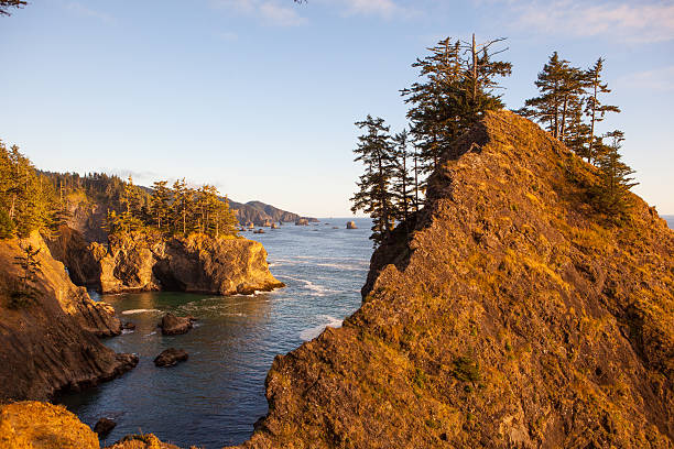 istock Rocky coastline during sunset at Boardman State Park in Oregon. 607491348
